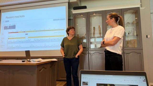 Lenkje til artikkel: Engasjerande workshop om digital heimeoppfølging