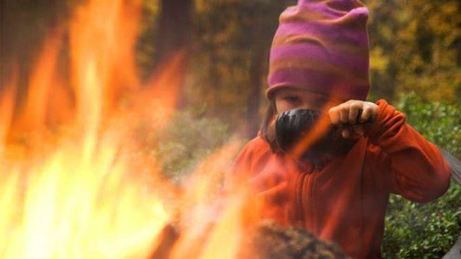 Lenkje til artikkel: Be aware of this before lighting a campfire