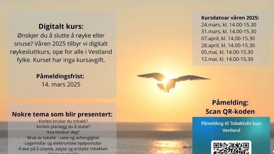 Lenkje til artikkel: Ønskjer du å slutte med røyk eller snus?