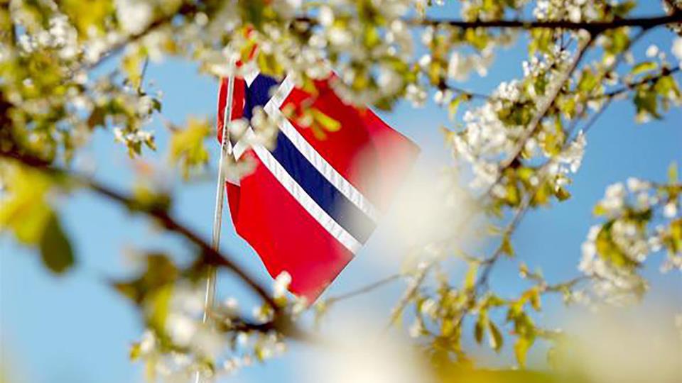 Lenkje til artikkel: Tale for dagen av ordførar Per Kjøllesdal